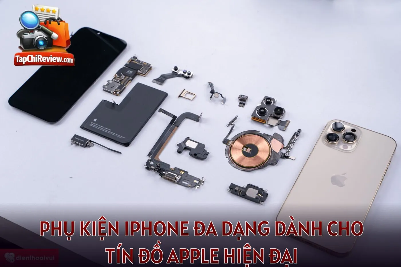 Phụ kiện iPhone đa dạng dành cho tín đồ Apple hiện đại