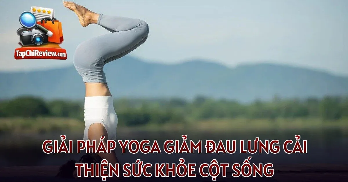 Giải pháp yoga giảm đau lưng cải thiện sức khỏe cột sống